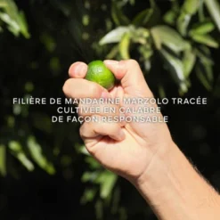 Guerlain Aqua Allegoria Harvest Mandarine Basilic Eau De Toilette -Divin Arome Soldes Boutique aqua allegoria harvest mandarine basilic 1 4