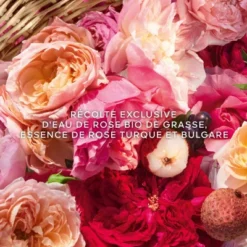 Guerlain Aqua Allegoria Harvest Rosa Rossa Eau De Toilette -Divin Arome Soldes Boutique aqua allegoria harvest nerolia vetiver 10