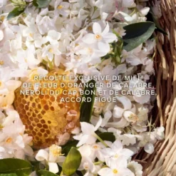 Guerlain Aqua Allegoria Harvest Nerolia Vetiver Eau De Toilette -Divin Arome Soldes Boutique aqua allegoria harvest nerolia vetiver 2