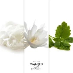 Azzaro Wanted Girl By Night Eau De Parfum -Divin Arome Soldes Boutique azzaro wanted girl by night eau de parfum 6