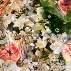 Guerlain Coffret Aqua Allegoria Nerolia Vetiver Coffret Pour Femme -Divin Arome Soldes Boutique coffret aqua allegoria nerolia vetiver eau de toilette 4