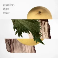 Terre D'Hermès Parfum -Divin Arome Soldes Boutique terre hermes parf 1 4