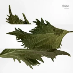 Terre D'Hermès Parfum -Divin Arome Soldes Boutique terre hermes parf 1 7