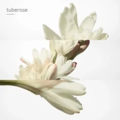 Twilly D'Hermès Eau De Parfum -Divin Arome Soldes Boutique twilly edp 5