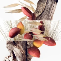 Hermès Un Jardin à Cythère Eau De Toilette -Divin Arome Soldes Boutique un jardin a cythere 2